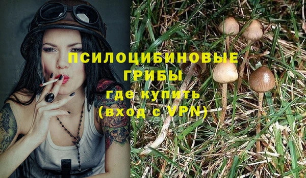 синтетический гашиш Балахна