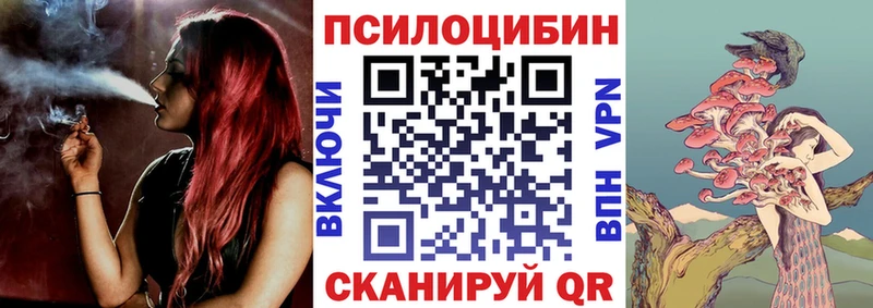 Галлюциногенные грибы Psilocybe Дальнегорск